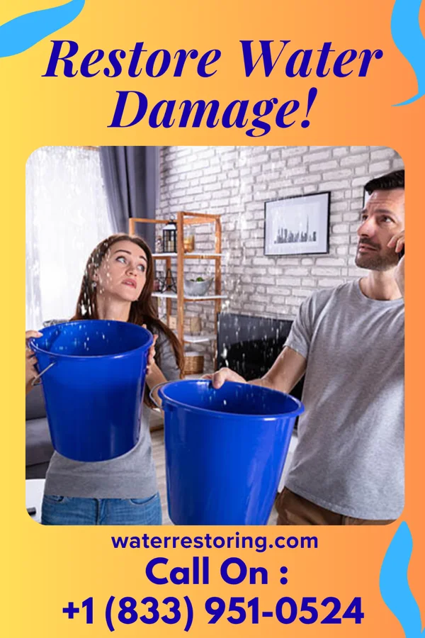 water restoration North Damage Restoration Pros Rushmere