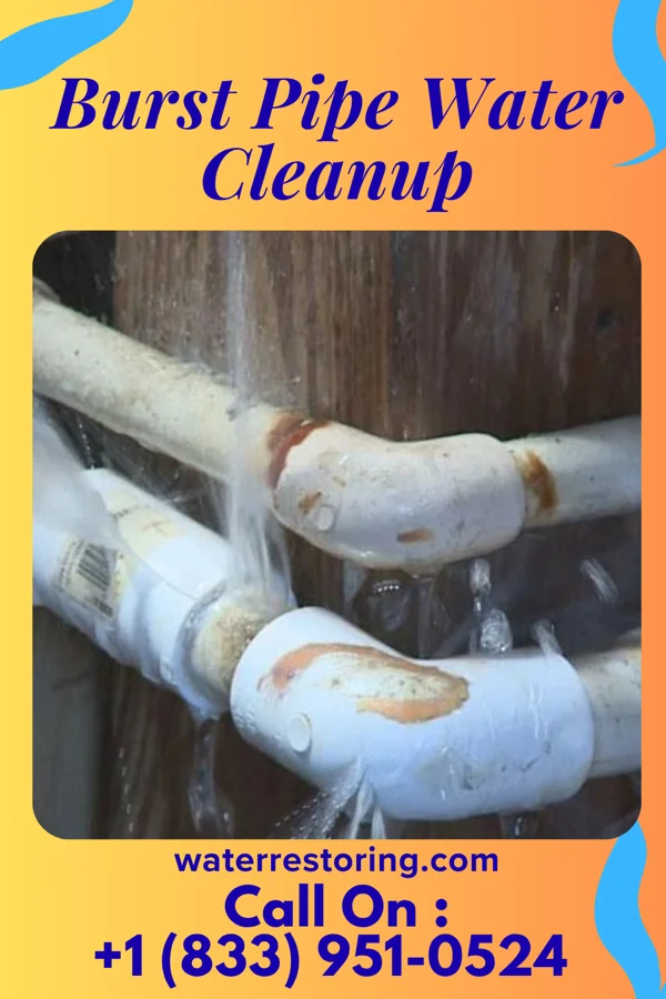 Burst Pipe Water Cleanup in Rushmere, VA
