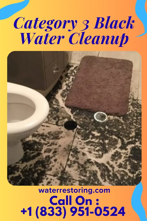 Category 3 Black Water Cleanup in Rushmere, VA