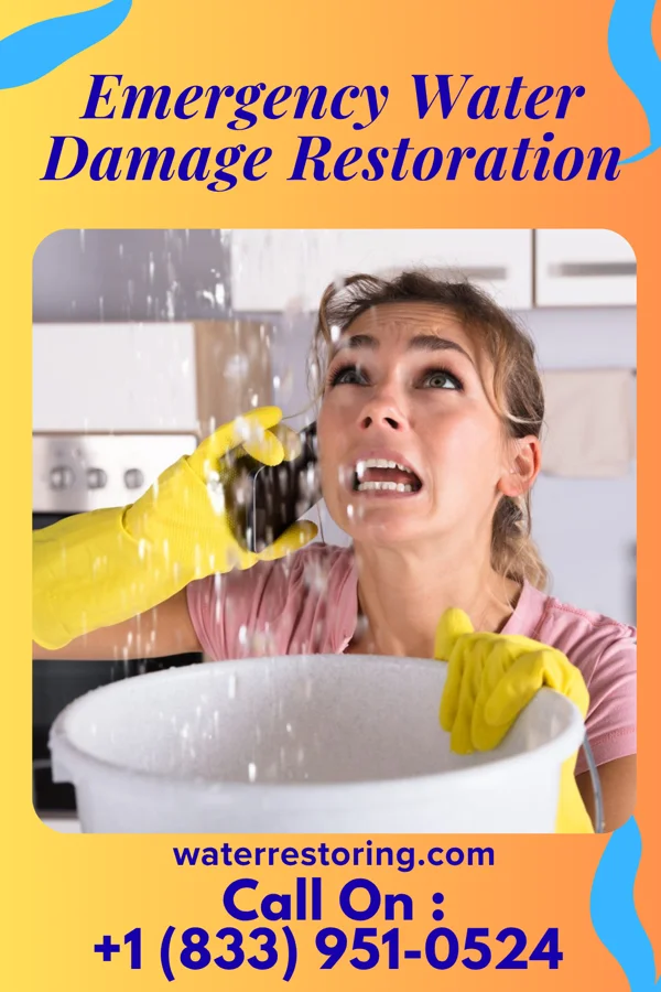 Emergency Water Damage Restoration in Rushmere, VA