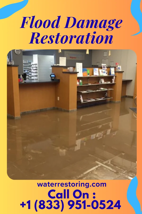 Flood Damage Restoration in Rushmere, VA
