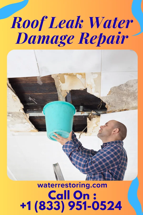 Roof Leak Water Damage Repair in Rushmere, VA