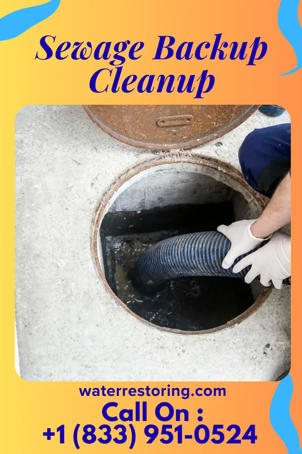Sewage Backup Cleanup in Rushmere, VA