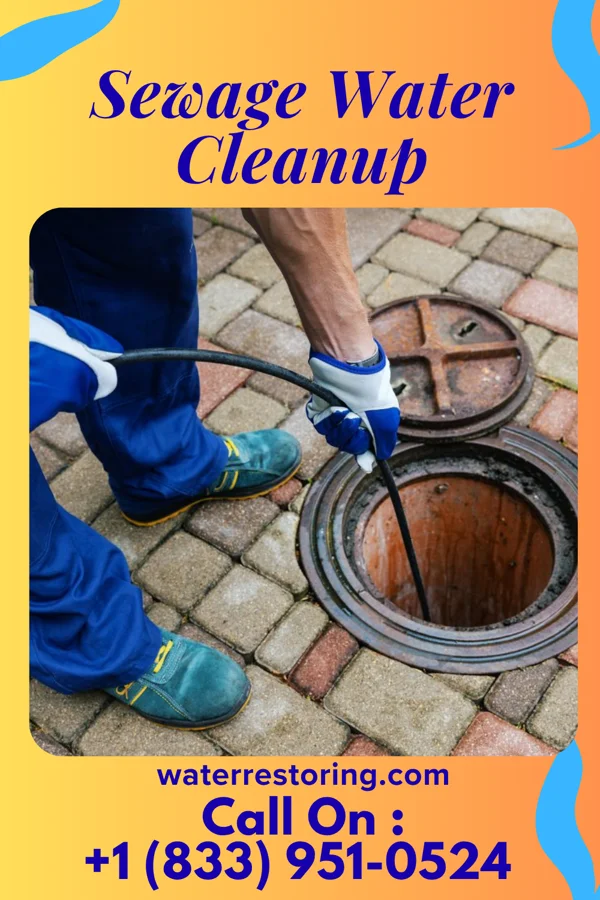 Sewage Water Cleanup in Rushmere, VA