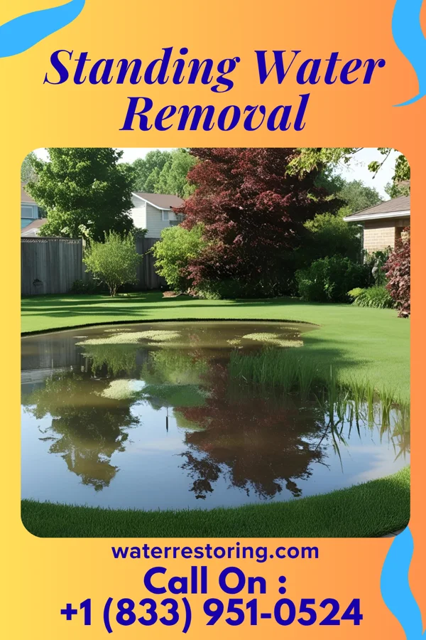 Standing Water Removal in Rushmere, VA